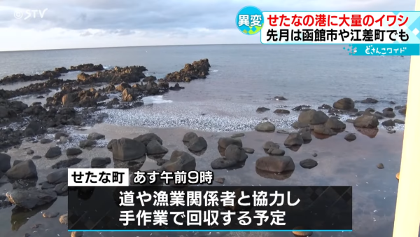 國泰航空與大韓航空新千歲機場相撞 國泰客機尾翼凹陷 國泰咁回應事件