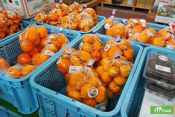 瀨戶內海景點2025｜最新10大必去景點推介！《千與千尋》溫泉鄉／踩單車跨海跳島遊 