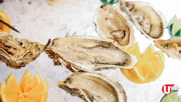 【記者試住】北海道全新滑雪resort，人均,000起，包滑雪堂、三餐、酒水任飲、溫泉（有片） 