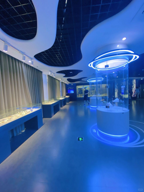蛇口海洋博物館是一座以海洋為主題的博物館，館藏實體標本種類約270種。（圖片來源：小紅書＠菠蘿媽媽遛娃記）