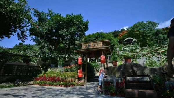 青青世界是深圳市著名的精緻農業與觀光旅遊相結合的生態旅遊景點，亦為「鵬城十景」之一。（圖片來源：青青世界微信公眾號）