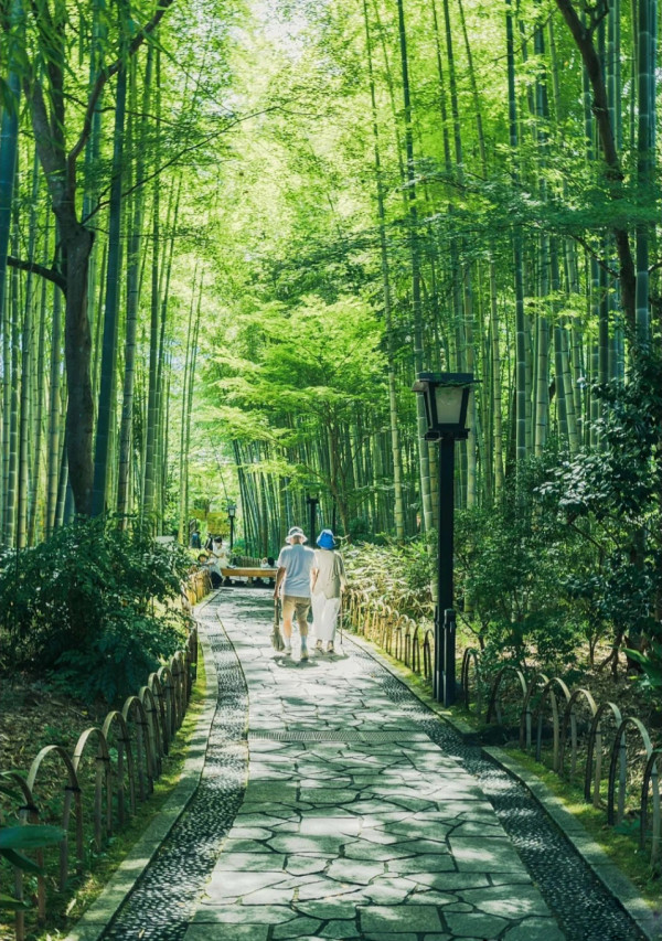 KKday一日遊優惠4.【伊豆川津櫻祭&晨櫻賞溫泉一日遊】伊豆川津櫻、小京都修善寺溫泉及浴衣體驗 KKday一日遊優惠4.【伊豆川津櫻祭&晨櫻賞溫泉一日遊】伊豆川津櫻、小京都修善寺溫泉及浴衣體驗