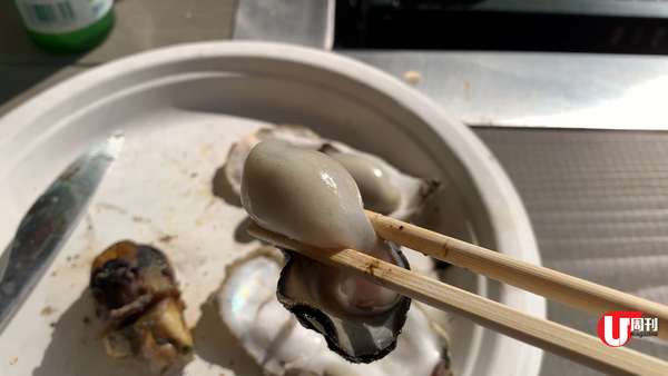 【短線特搜】九州湘南 福津沿海一日遊 型格蠔屋+望海cafe+鏡之海打卡+奇跡光之道(有片)