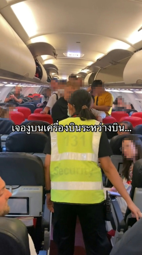 泰國航班驚見活蛇！乘客急逃離座位 全靠空少1招化解危機 
