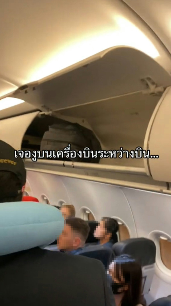 圖片來源:tiktok@wannabnailssalon 泰國航班驚見活蛇!乘客急逃離座位 全靠空少1招化解危機