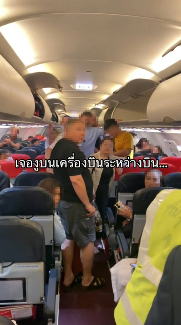 泰國航班驚見活蛇！乘客急逃離座位 全靠空少1招化解危機 