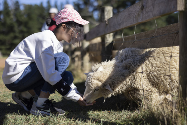 新春旅行團推薦!澳洲塔斯曼尼亞出海歎海鮮 賞酒杯灣靚景7天遊