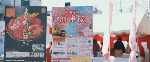 東京三浦海岸櫻花祭｜東京近郊櫻花景點三浦海岸櫻花祭  1000棵河津櫻花樹／夜櫻燈光秀 