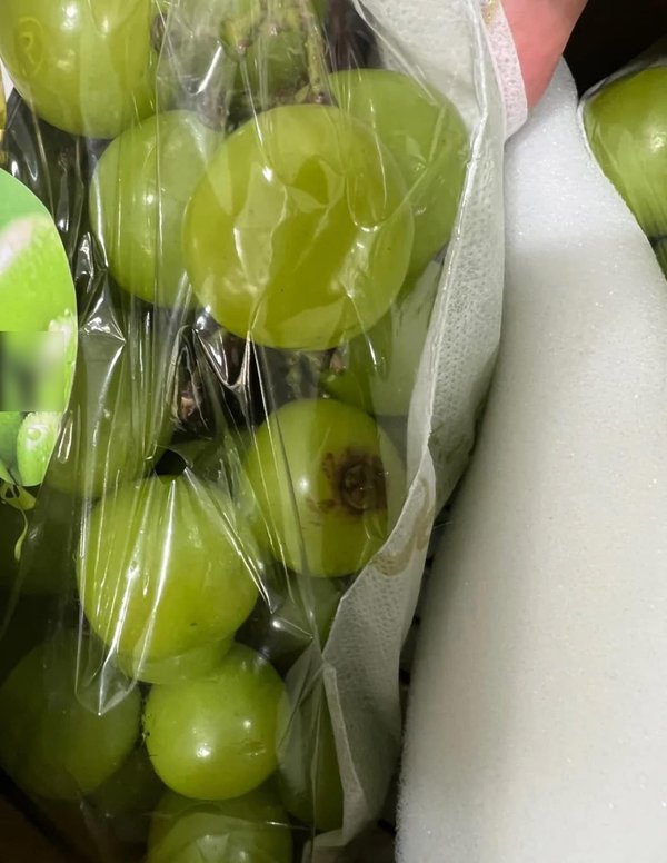 網現山姆超市中伏潮 全肥膏牛肉、超黐底湯煲！盤點12大出事貨品 