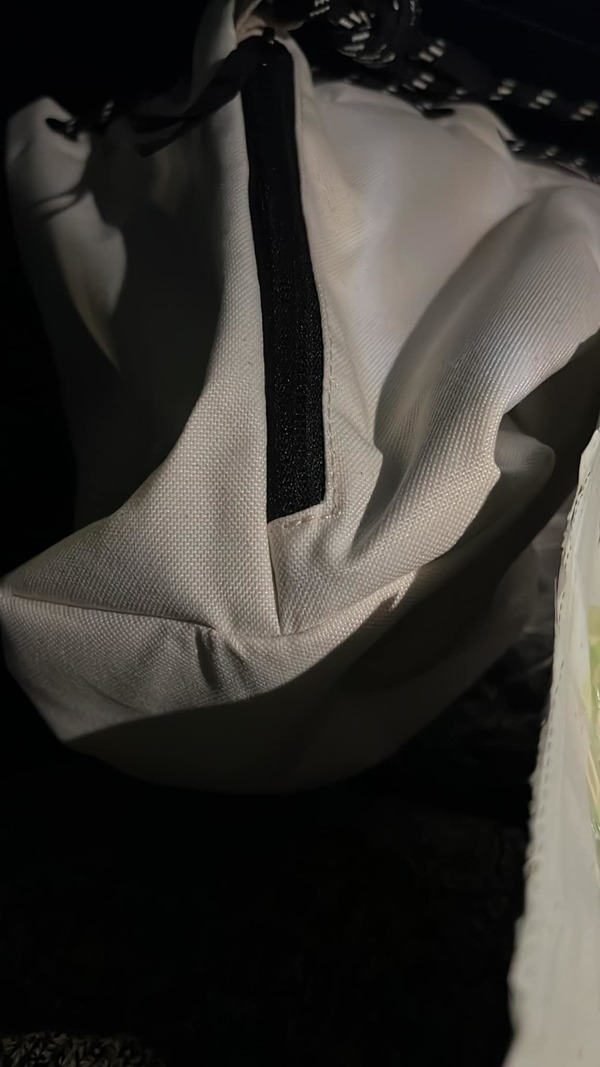 張茆帶外籍丈夫北上消費「見世面」 逛山姆超市滿載而歸埋單4位數 