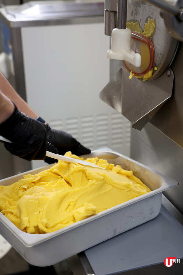 觀塘工廈發現手工 Gelato 店 本地製造 12 款口味 / 驚奇香印提子清酒口味