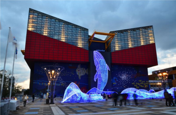 位於大阪的「海遊館」是世界上最大規模的水族館之一。（圖片來源：Kkday）