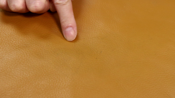 皮梳化污漬徹底清潔法  貓爪痕可以點補救？輕鬆清除原子筆痕
