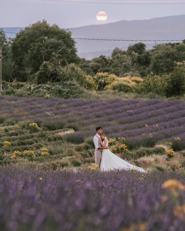 「昇女郎」李曉欣南法影唯美婚照 分享籌備過程:漫長卻非常享受