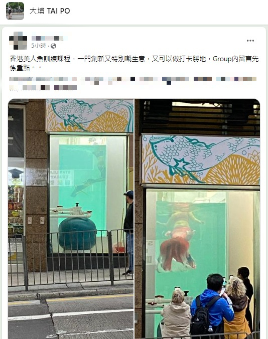 西環店前水箱現「美人魚」嚴寒落水引圍觀 網民笑：以為係海鮮酒家