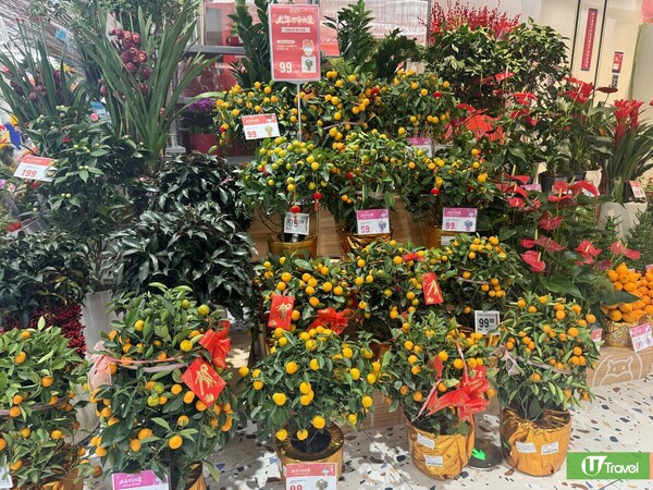 深圳年貨市場好去處