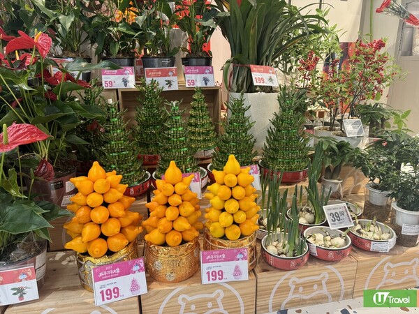 深圳年貨市場好去處