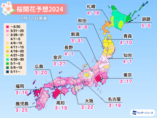 2024大阪櫻花預測開花日期及滿開 (圖片來源：WeatherNews)