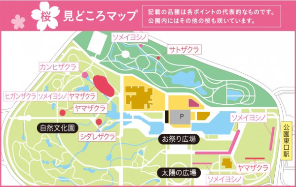 大阪櫻花2024 賞櫻景點推介-萬博紀念公園路線圖 （圖片來源：萬博紀念公園官網）