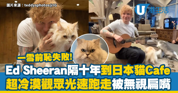 Ed Sheeran隔十年到日本貓Cafe　一雪前恥失敗！觀眾光速跑走被無視扁嘴