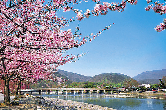 【京都嵐山一日遊】嵐山景點必去推介附交通攻略！附嵐山小火車預約教學 