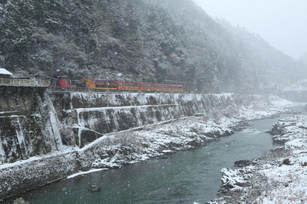 【京都嵐山一日遊】嵐山景點必去推介附交通攻略！附嵐山小火車預約教學 