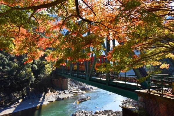 【京都嵐山一日遊】嵐山景點必去推介附交通攻略！附嵐山小火車預約教學 