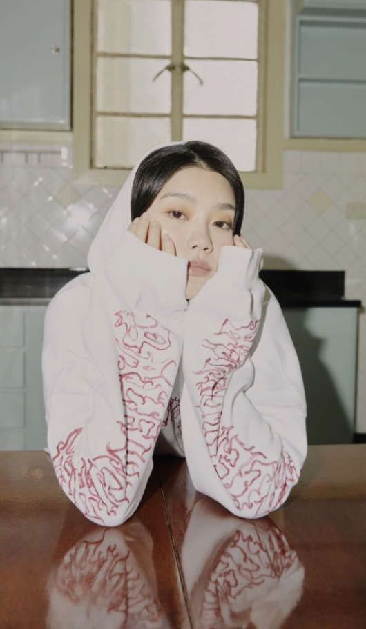 奚夢瑤孖奶奶行街1細節揭真實關係！獲梁安琪贈46億禮！身上Hermès成焦點 