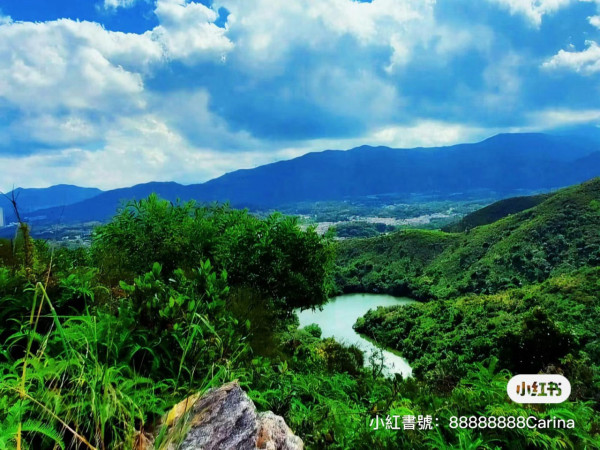 香港行山好去處｜新手行山路線逾20條推介 平路為主輕鬆易行附交通方法