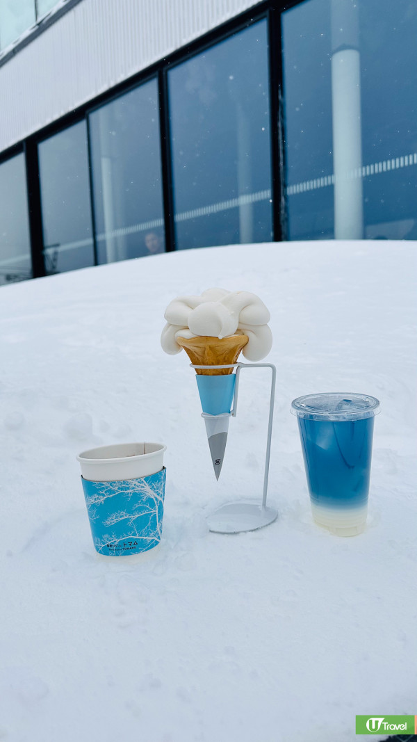 【日本北海道】星野TOMAMU度假村超詳細10大必玩+房型攻略！雪地卡丁車/冰屋雪鎮/神聖水之教堂 