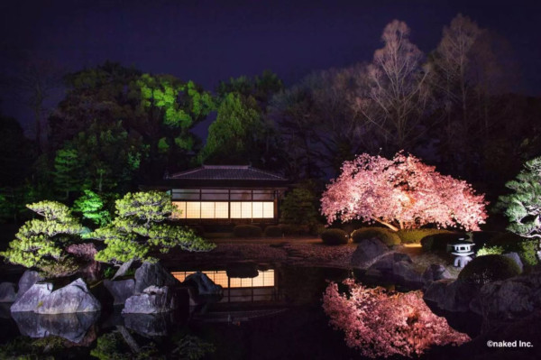 京都NAKED櫻花祭2024