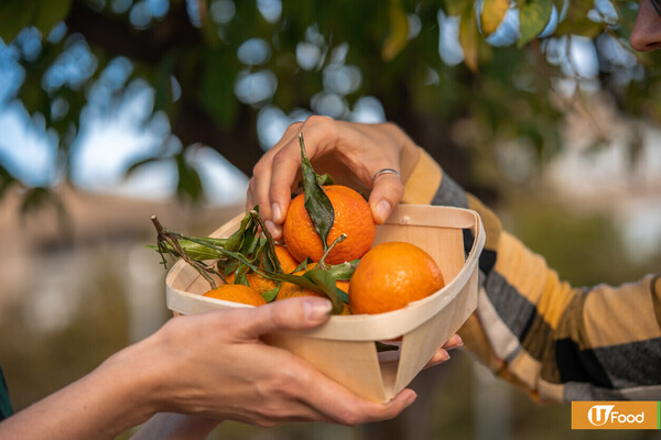 賀年食物意頭｜20款新年好意頭賀年食品　煎堆寓意金銀滿屋／新年吃出好運氣！