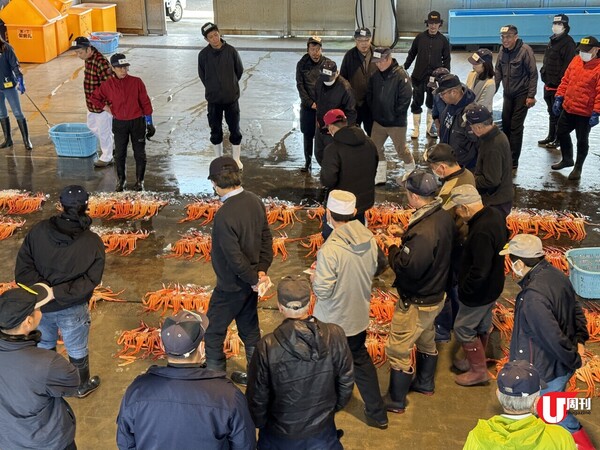 【短線特搜】曰本蟹季開鑼！飛去新潟富山產地狂食 每隻最平1,100日圓/ 3,000日圓包食蟹及競投見學(有片) 