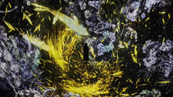 東京麻布台teamLab BorderlessHills 5大作品！附交通/門票資訊 