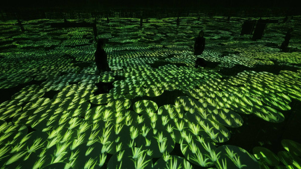 東京麻布台teamLab BorderlessHills 5大作品！附交通/門票資訊 