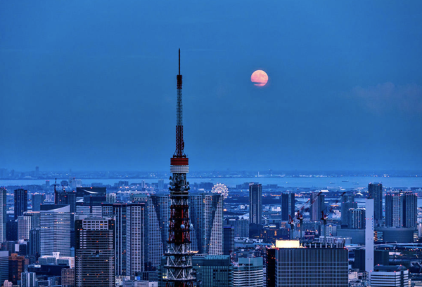 Tokyo City View(圖片來源:Tokyo City View官網) Tokyo City View(圖片來源:Tokyo City View官網)