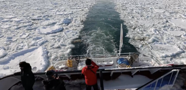 遊北海道夫婦危站流冰打卡 海上保安廳警告：落水15分鐘足以致命 
