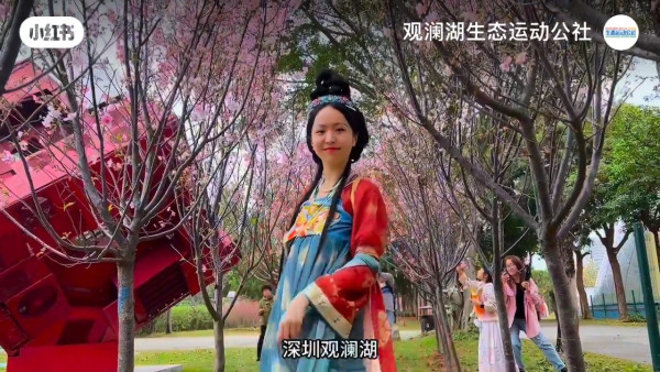 深圳櫻花｜深圳觀瀾湖櫻花節2024開鑼！1200棵櫻花樹下打卡/夢幻桃花+金魚草花海 