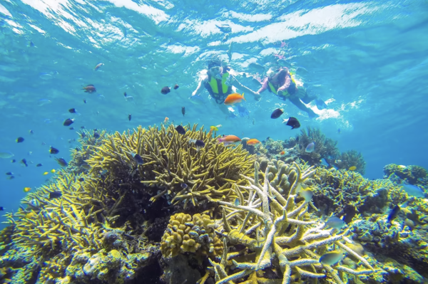 沖繩6間星野集團酒店推介｜八重絕美星空度假村、冬天可出海觀鯨！ 