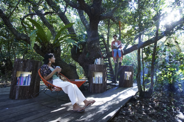 沖繩6間星野集團酒店推介｜八重絕美星空度假村、冬天可出海觀鯨！ 