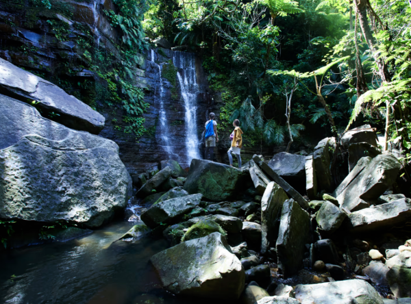 沖繩6間星野集團酒店推介｜八重絕美星空度假村、冬天可出海觀鯨！ 