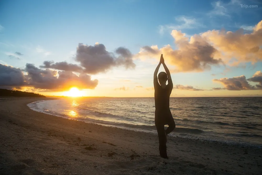 沖繩6間星野集團酒店推介｜八重絕美星空度假村、冬天可出海觀鯨！ 