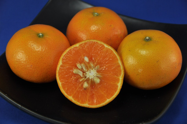 柑橘橙｜三月當造含可抗發炎降血脂、血壓8大營養  3類人慎食3點揀靚橙