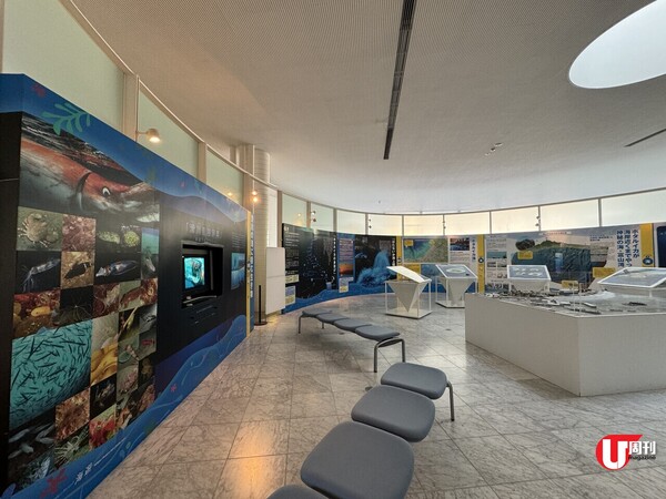 【短線特搜】富山縣海鮮天堂 4,000日圓全蠔宴 日本一螢光魷魚 地道飲食街 全海景海鮮宿一宵  （有片） 