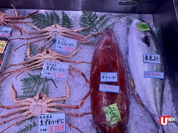 【短線特搜】富山縣海鮮天堂 4,000日圓全蠔宴 日本一螢光魷魚 地道飲食街 全海景海鮮宿一宵  （有片） 