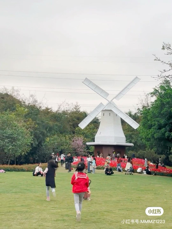 【深圳櫻花賞櫻攻略】免費櫻花海6秘境附交通地鐵到！鹽田登山花徑、坪山萬株櫻花谷 