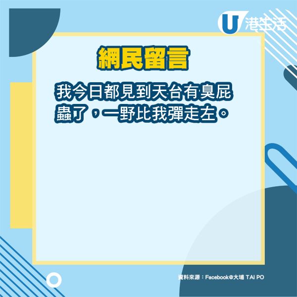 大埔名物15粒臭屁蟲卵出沒？網民逐粒數：仲有13粒去咗邊