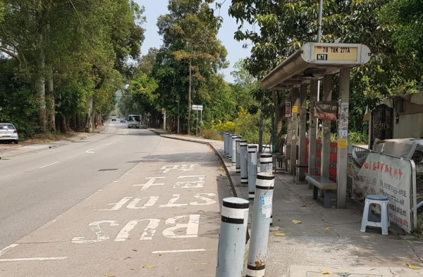 狠心主人｜司機沙頭角棄狗速逃 唐狗狂慘叫追車失蹤 小店$1萬酬金尋犬