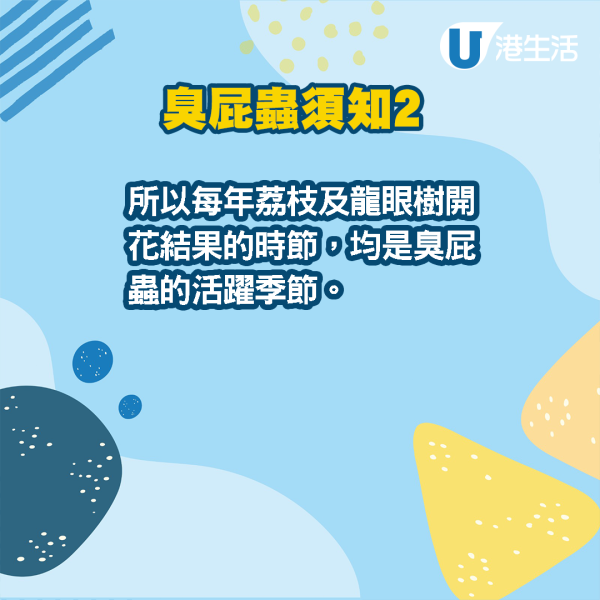 大埔名物15粒臭屁蟲卵出沒？網民逐粒數：仲有13粒去咗邊