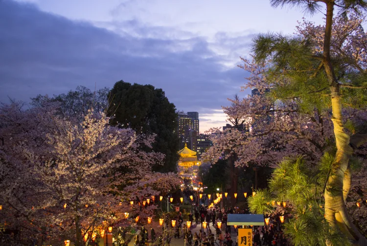 【請假攻略】只用3天年假狂賺10天日本賞櫻之旅！3個隱藏版「請長假」秘技 